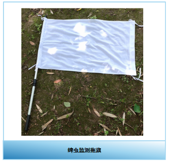微信图片_2026-06-05_161018_701.png